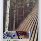 Avain Suomen metsäteollisuuteen - pikkukuva 2
