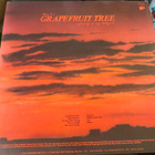 The Nights of Iguana: Grapefruit Tree 1987 LP - pikkukuva 2