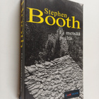 Stephen Booth : Ei metsää puilta - pikkukuva 1