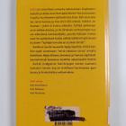Astrid Lindgren : Kati Italiassa - pikkukuva 2