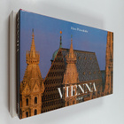 Hans Wiesenhofer : Vienna : impressions of a dream city - pikkukuva 2