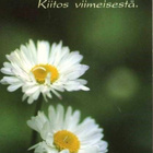kortti ** Reinilä Ritva Kukka tai luonnonkasvi - erilaisia - pikkukuva 4