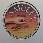 NORTHWIND :: DESTINATION :: VINYYLI LP FIN-1989 !! - pikkukuva 3