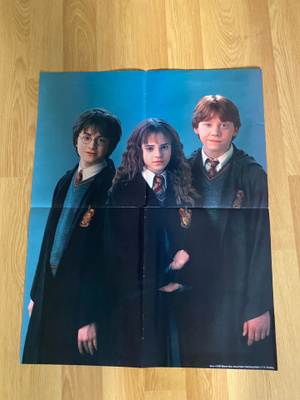 Harry Potter juliste