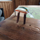 Salmo Floating 3,5cm - pikkukuva 1