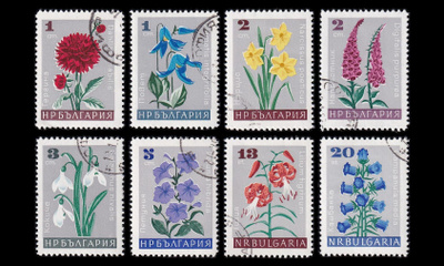 Bulgaria 1683-90 o Puutarhakukkia (1966)