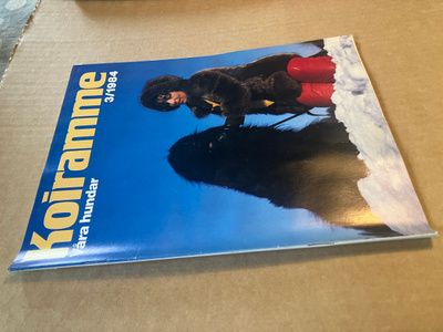 KOIRAMME LEHTI 3/1984 HYVÄ