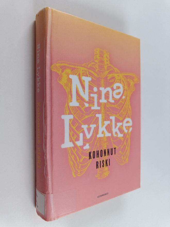 Nina Lykke : Kohonnut riski