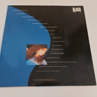 GLORIA ESTEFAN - INTO THE LIGHT ( LP . VINYYLI ) - pikkukuva 2