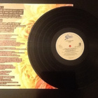DEAD OR ALIVE / NUDE - LP - pikkukuva 5