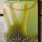 Salme Blomster - Kosketus (nid.) - pikkukuva 1