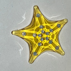 Swarovski 5689310 Gift SCS Membersh. 2025 Starfish (2025-202 - pikkukuva 3