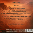 Joe Bonamassa - Redemption (Limited Edition Mediabook) - pikkukuva 3