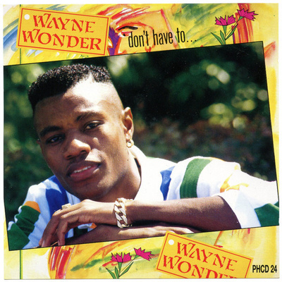 WAYNE WONDER : DON'T HAVE TO