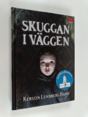 Kerstin Lundberg Hahn : Skuggan i väggen