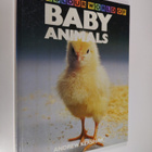 Andrew Kershaw : All colour world of baby animals - pikkukuva 1