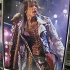 AEROSMITH TAULU STEVEN TYLERIN NIMMARILLA ! - pikkukuva 1