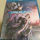 Outolintu Sarja - Uskollinen (Shailene Woodley) Blu-ray - pikkukuva 1