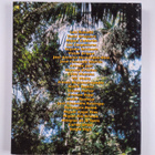 The Garden of forking paths - pikkukuva 2