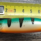 Rapala minnow spoon! - pikkukuva 1