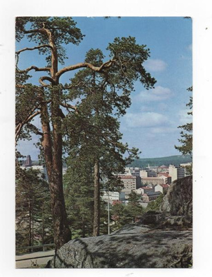 Lahti:  Mänty