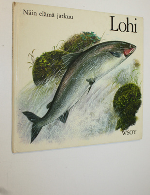 Pauline Baynes : Lohi