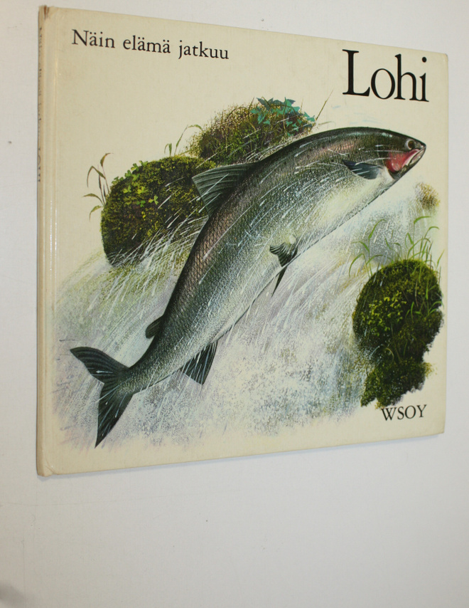 Pauline Baynes : Lohi