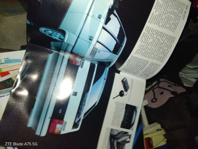 Citroen bx esite
