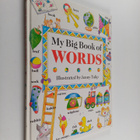 Isabel Clark : My big book of words - pikkukuva 1