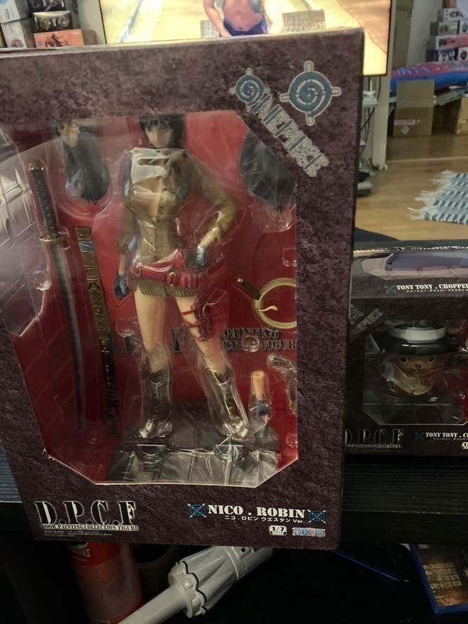Door Painting collection figure Nico Robin &  Chopper