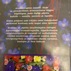 MAGGIE TISSERAND: AROMATERAPIAA NAISILLE - pikkukuva 2