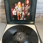 STRAIGHT UP: Faster & Deeper Lp levy - pikkukuva 3