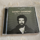 Roy Gabriel: Dandy Diamond And The Non Human Dolls (CD) - pikkukuva 1