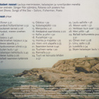CD: Ajopuut: Kaukaiset rannat - pikkukuva 2