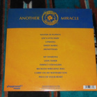 STEVE 'N' SEAGULLS ~ Another Miracle ~ LP kelmussa *UUSI* - pikkukuva 2