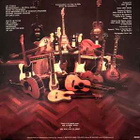 (LP) Albert Järvinen – Braindamage - Or Still Alive - pikkukuva 2