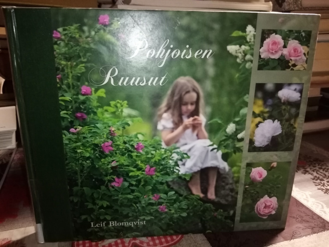 Blomqvist :  Pohjoisen ruusut ( SIS POSTIKULU)