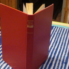 ANNE TYLER - PAKO - pikkukuva 1