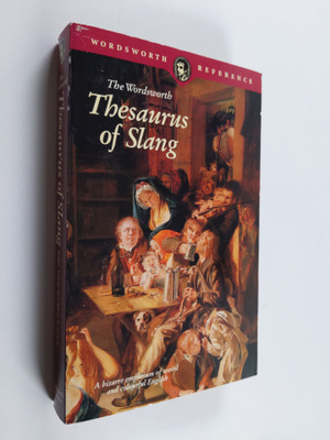 Esther Lewin : The Wordsworth Thesaurus of Slang