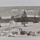 VANHA Postikortti Lappi Pallastunturi 1930-l - pikkukuva 1