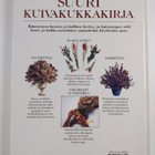 Malcolm Hillier : Suuri kuivakukkakirja : kuivakukkia ja ... - pikkukuva 2