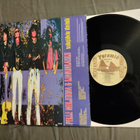 Pelle miljoona & Linnunlaulu -Sadepäivän ihmisiä LP - pikkukuva 2
