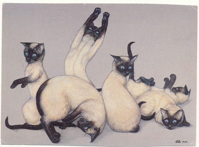 KISSA-kortti