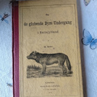 om de glubende dyrs undergang i norrejylland v 1871 - pikkukuva 1