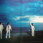 The Rolling Stones – Black And Blue - Vinyyli - pikkukuva 3