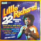 LITTLE RICHARD: 22 ORGINAL HITS LP - pikkukuva 1