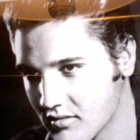 ELVIS PRESLEY : T-R-O-U-B-L-E-/Mr. SONGMAN : VINYYLI 7" 1975 - pikkukuva 4