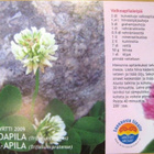 kortti ** Apila - erilaisia taide- tai valokuvakortteja - pikkukuva 5