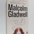 Malcolm Gladwell : What the dog saw and other adventures - pikkukuva 1