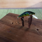 Pikkuvaappu jaloille kaloille 3,5cm 0,9g - pikkukuva 1